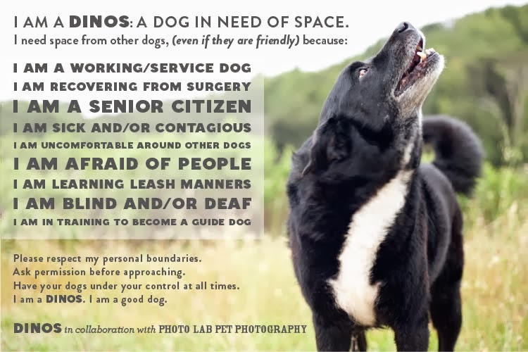 Dogs In Need Of Space