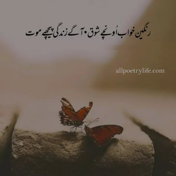 Top Best Deep Poetry About Life in Urdu