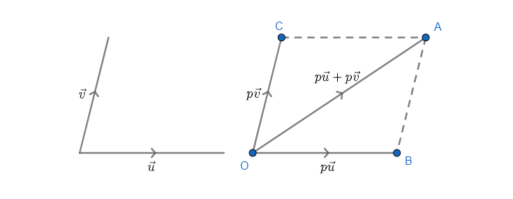 Vektor Vektor Tak Sejajar
