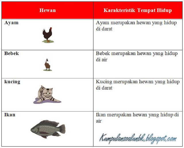 Kunci jawaban tema 3 kelas 4 halaman 84