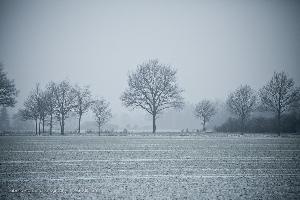 KinderGedichteWelt Winterlied