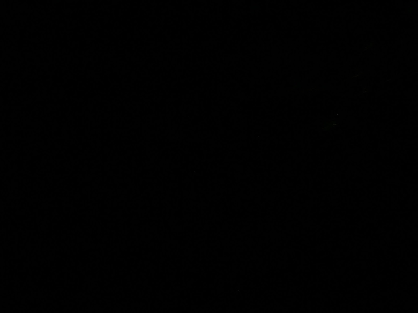 IMG 1020 JPG