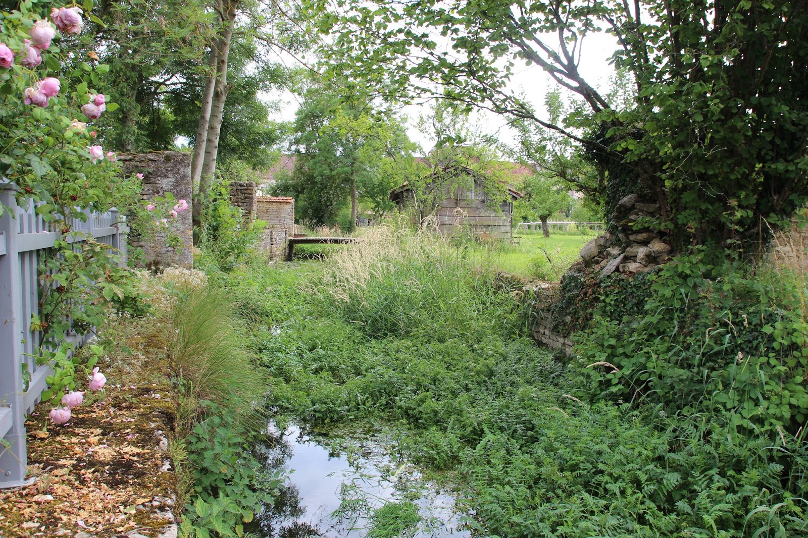 Notre jardin secret. Une saison au jardin la rivière