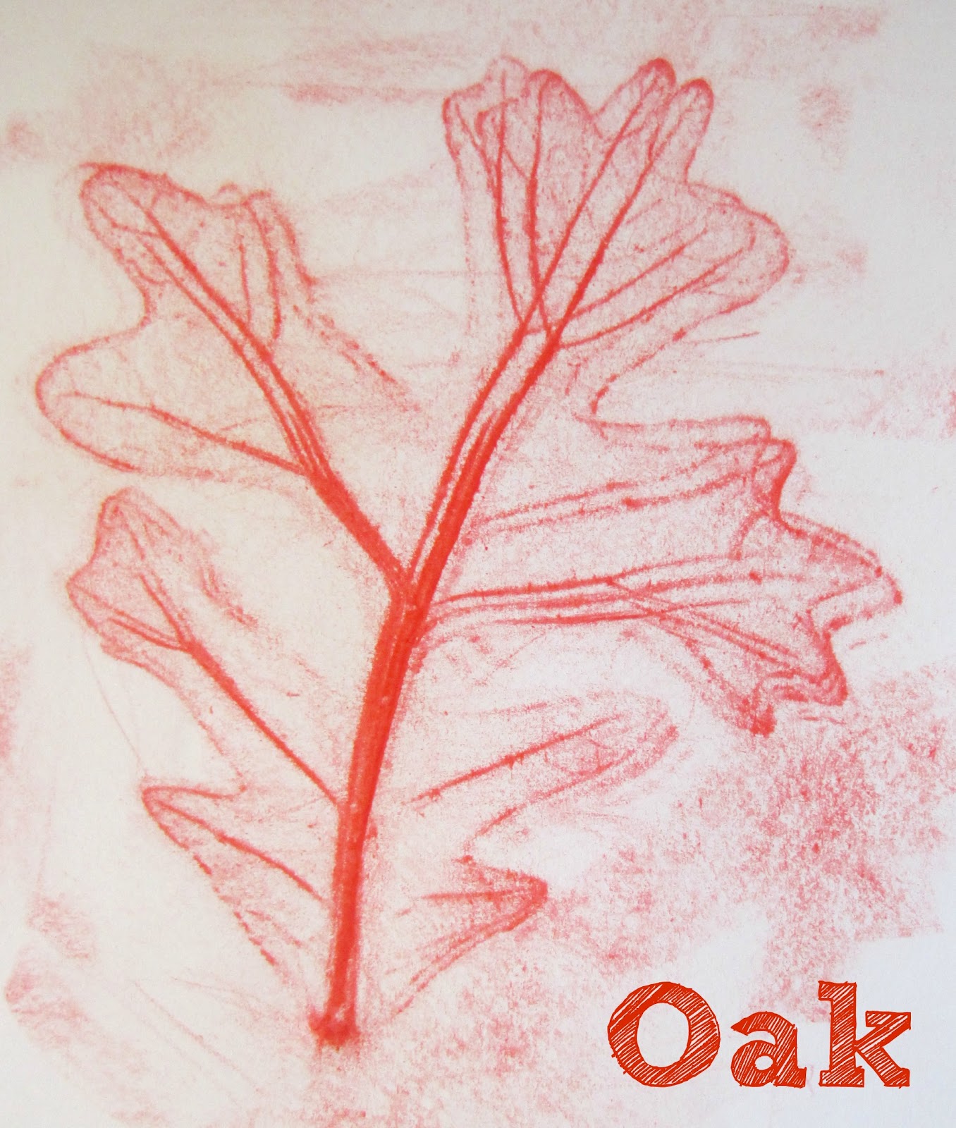 Relentlessly Fun, Deceptively Educational Leaf Rubbing Book Exploring Types of Trees