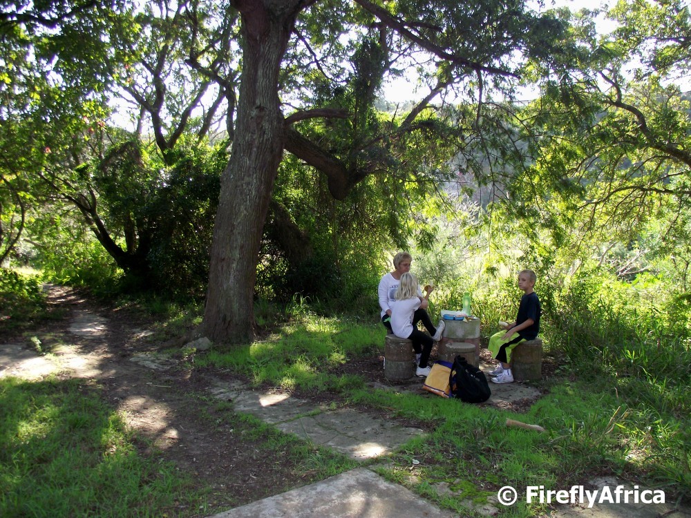 Port Elizabeth Daily Photo Picnic at Dodds Farm