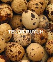 Berjuta Manfaat Telur Burung Puyuh Bagi Kita Berjuta Manfaat Telur Burung Puyuh Bagi Kita