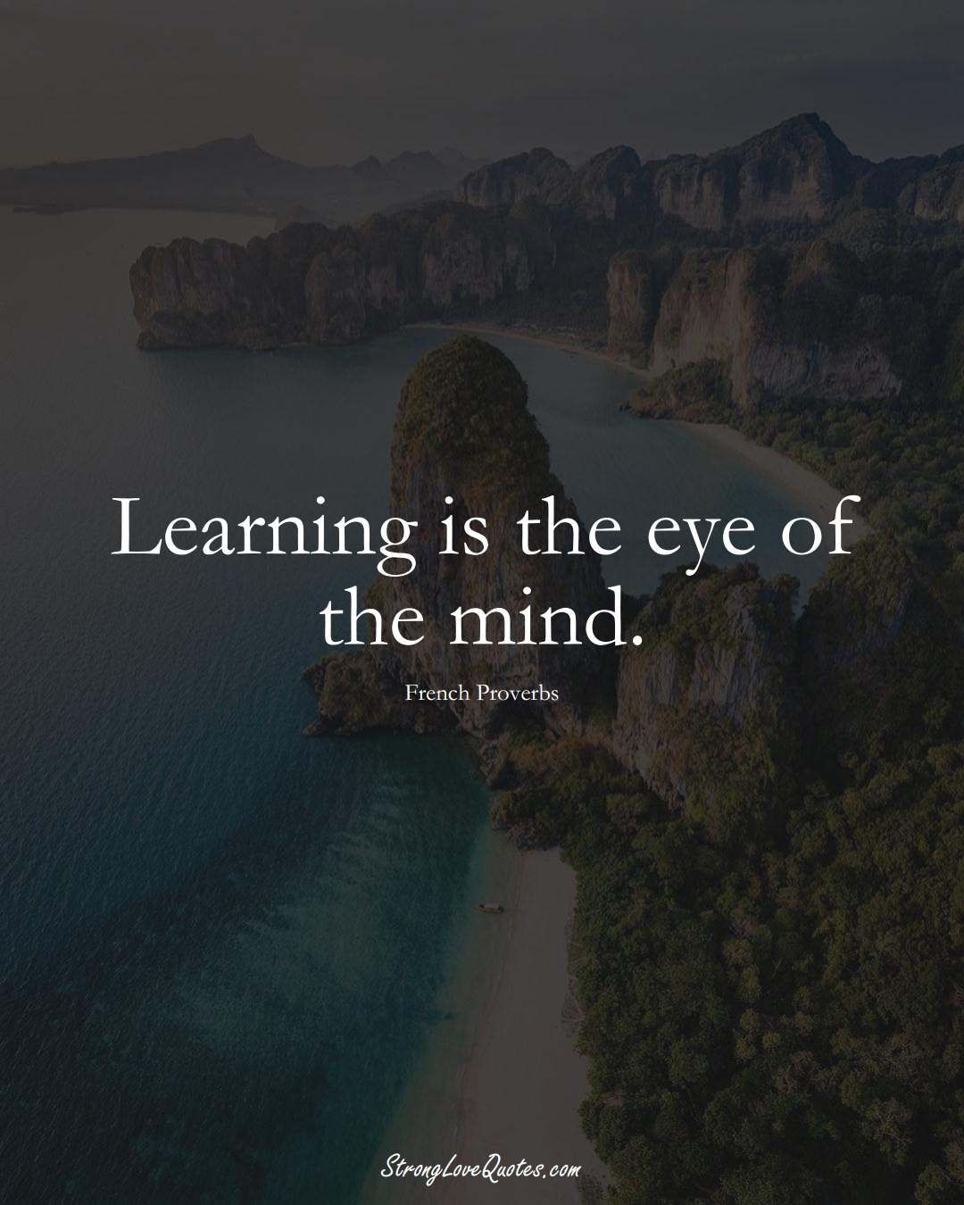 Learning is the eye of the mind. (French Sayings);  #EuropeanSayings
