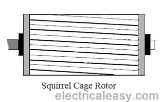 squirrel cage rotor