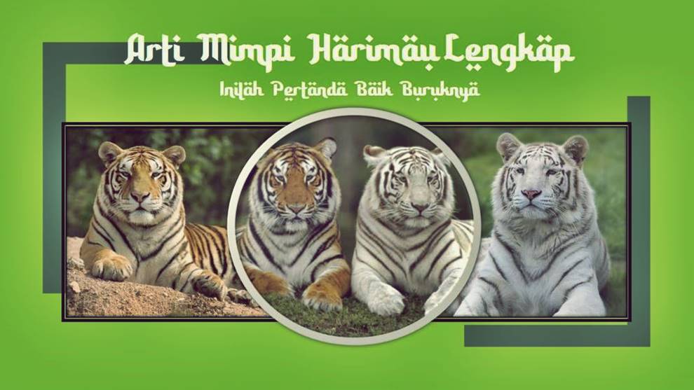 7+ Tafsir Mimpi Melihat Harimau Menurut Islam