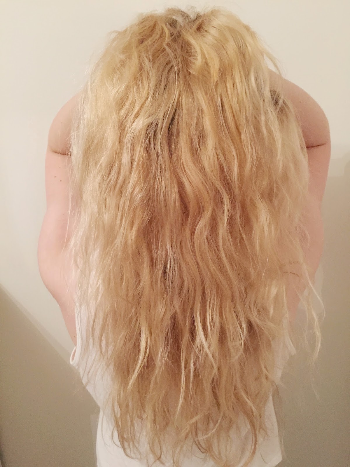 Hair Plopping - by lauren jane