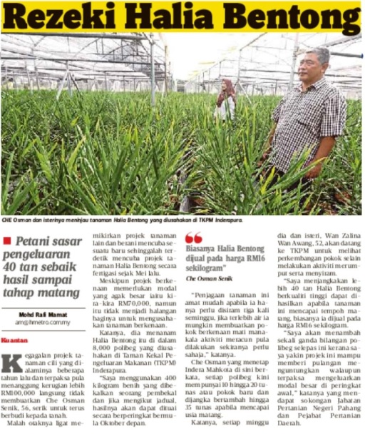 Anim Agro Technology Kosting Halia Fertigasi Satu Analisa