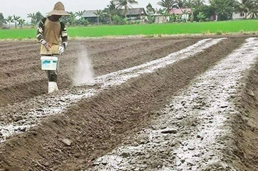 Kapur Pertanian Calcium Carbonate