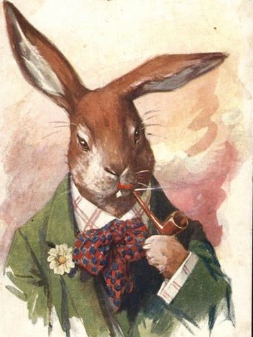 A Stoic Breviary: Classical Wisdom in Daily Practice: Rabbits