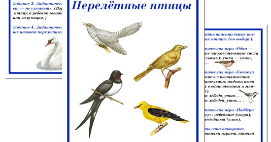 Календарное планирование старшая группа перелетные птицы весной