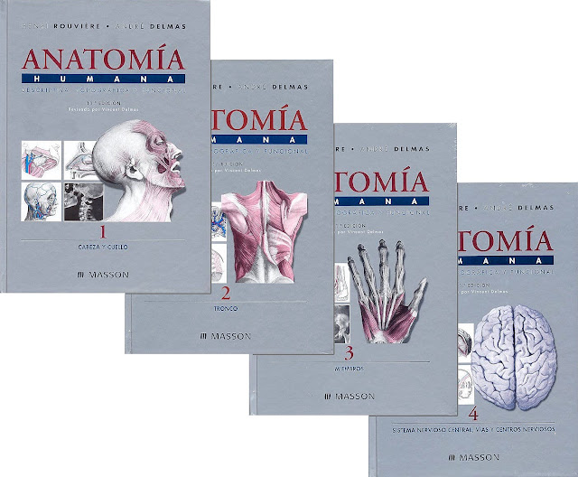 anatomia humana rouviere tomo 1 pdf anatomia humana rouviere tomo 1 pdf