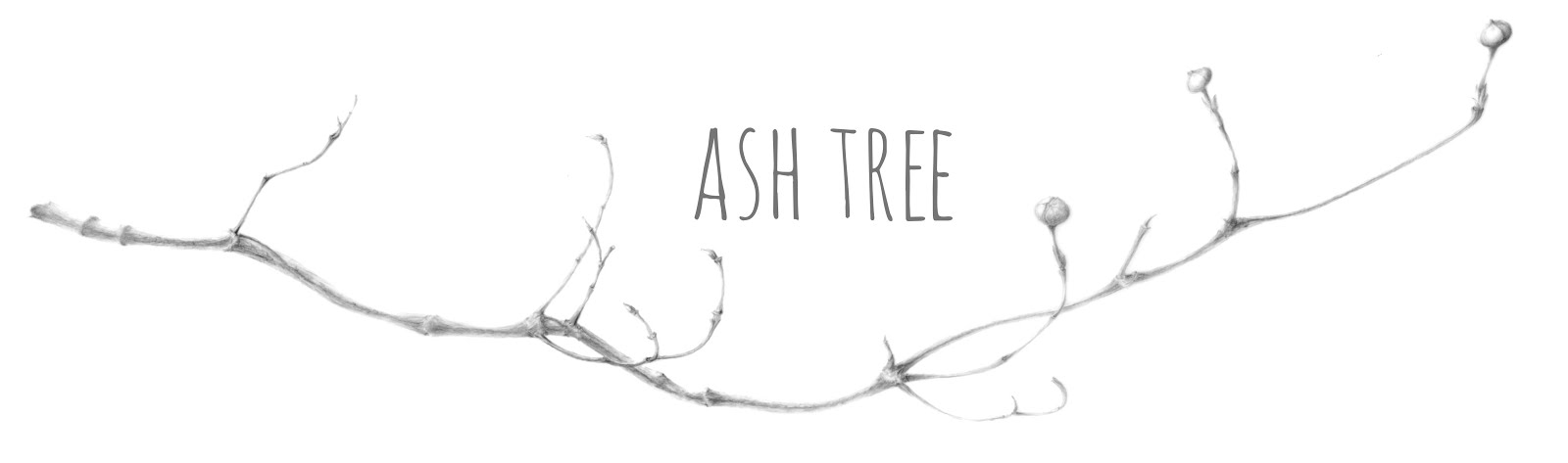 ash tree: vintage & lifestyle blog