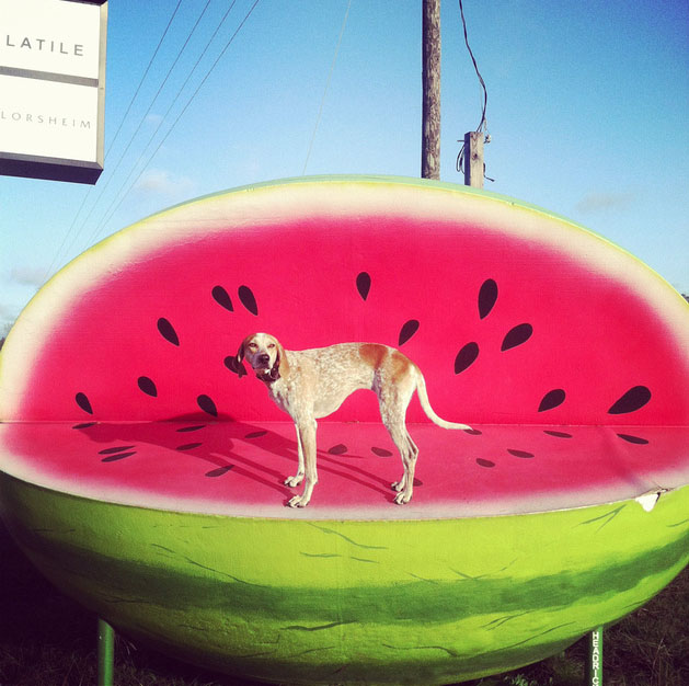 Maddie on watermelon