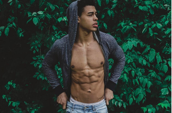 Devin Truss model
