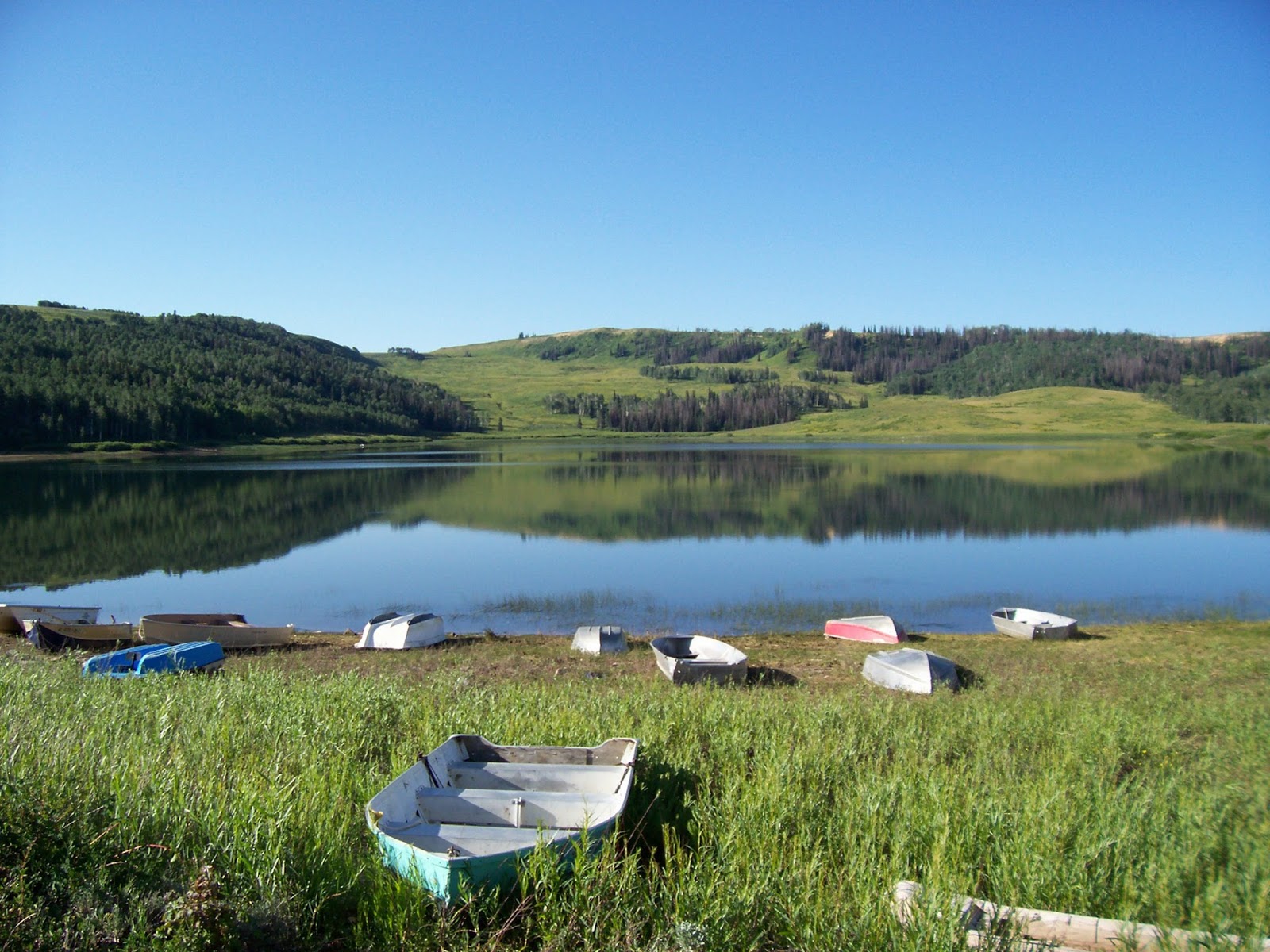 Wally's Musings HIGHWAY 89