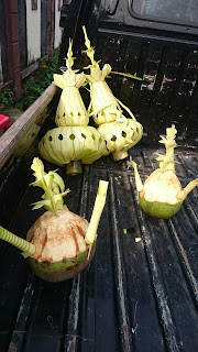 Jual Kembar Mayang jogja