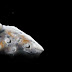 Two Asteroids Containing Gold Are Near Earth