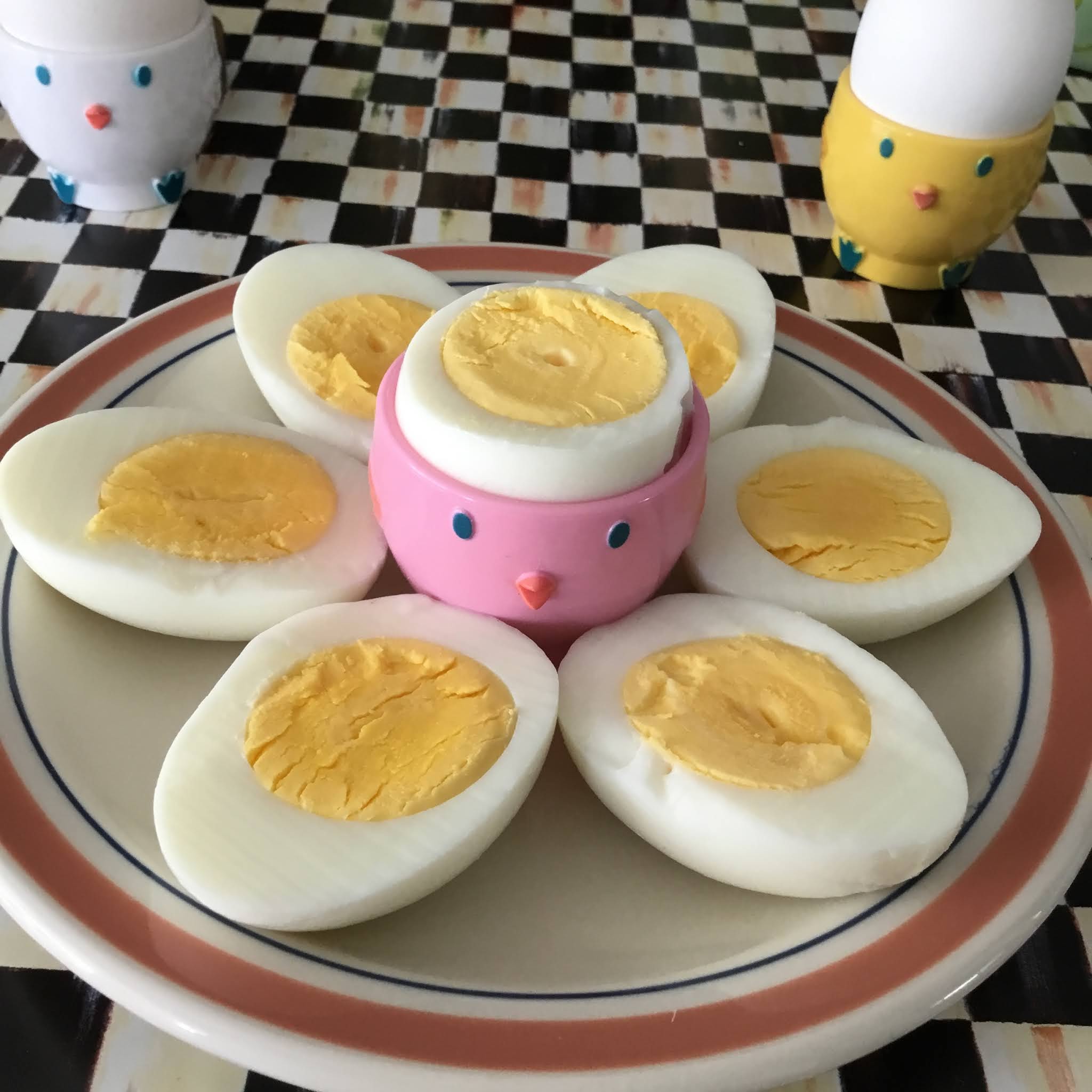 Holiday Sparkle Dash Egg Cooker. Everything you need to know