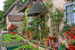 cozy english cottage desktop wallpaper
