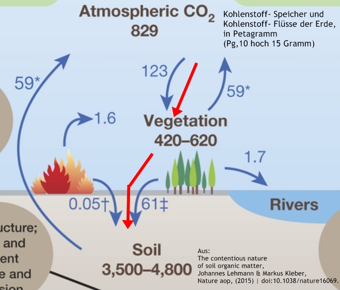 Anregungen Forum Langenargen