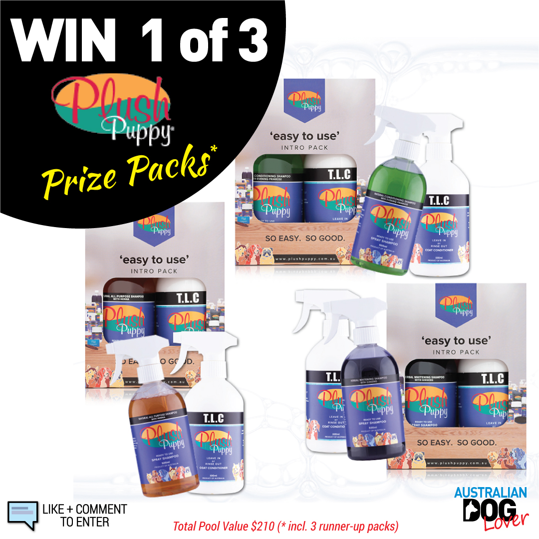 Win 1 of 3 Plush Puppy Dog Grooming Prizes Australian Dog Lover