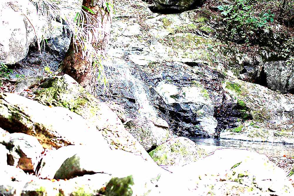 공주 계룡산 갑사