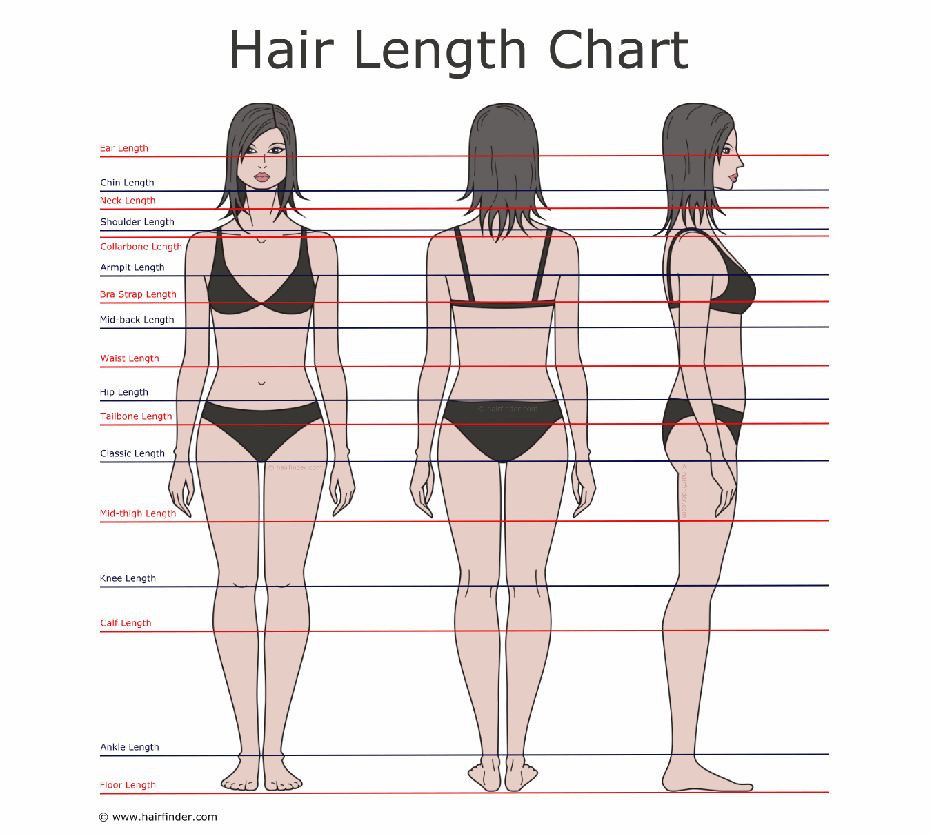 Sdestra: Determining Hair Length And Landmarks On Your Body