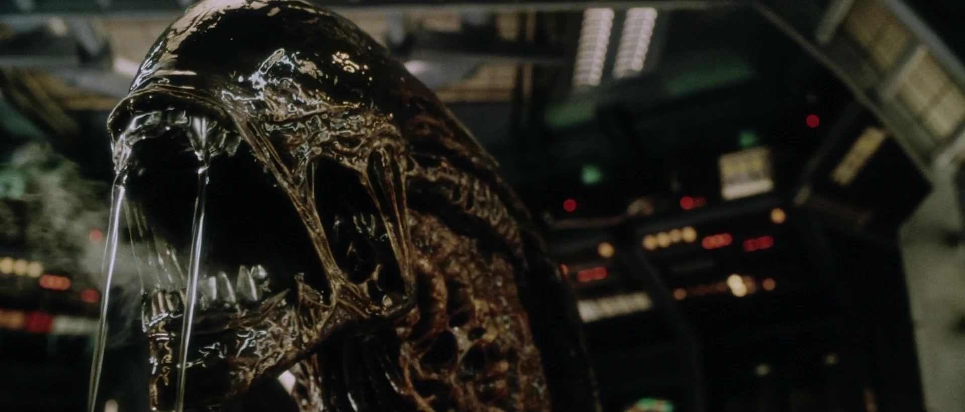 Чужой вырождение. Чужой ксеноморф. Alien ксеноморф xenomorph комиксы. Чужой 1 ксеноморф. Aliens versus predator (1999) чужой.