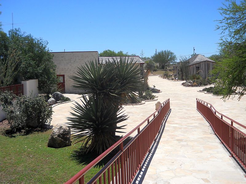 Cheryl's USA Desert plants shine in West Texas garden