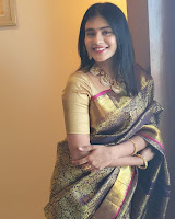 Hebah Patel (Indian Actress) Biography, Wiki, Age, Height, Family, Career, Awards, and Many More