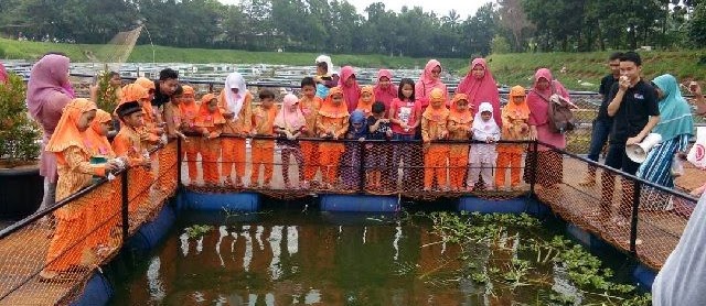 Nama Wadah Budidaya Ikan Konsumsi dan Ikan Hias