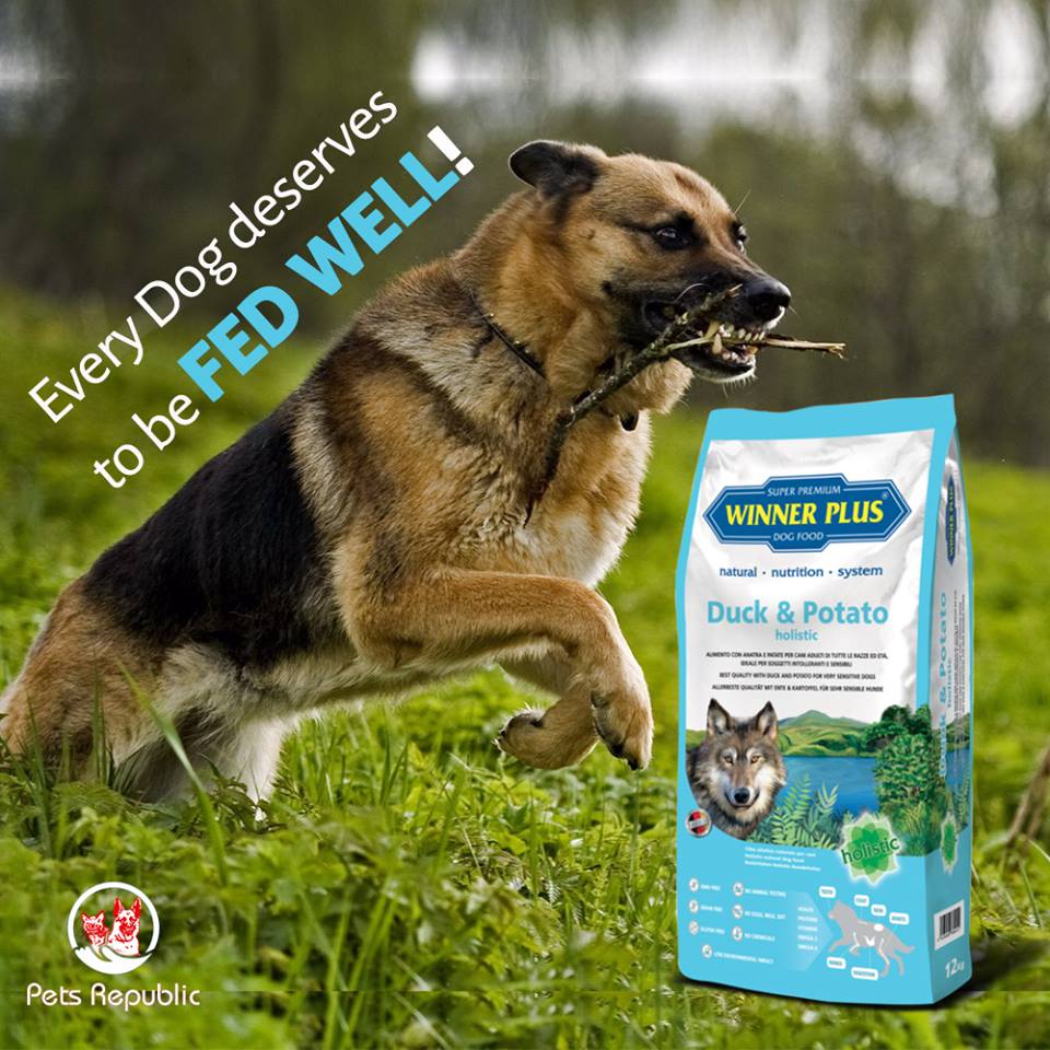 Reasons Why Buying Holistic Pet Food Online Is Popular Best Platform