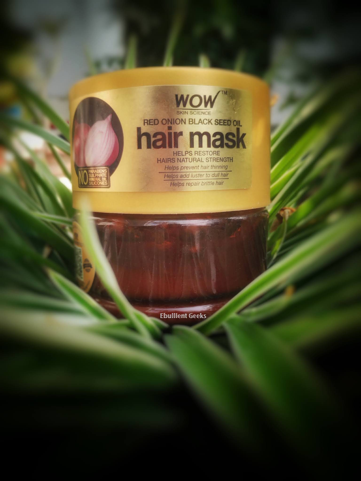 Ebullient Geeks Wow Red Onion Black Seed Oil Hair Mask