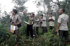 Juknis Jabatan Fungsional Pengendali Ekosistem Hutan dan Angka Kreditnya