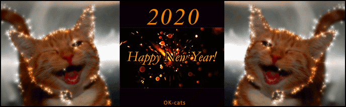 Cat GIF • 12:00 AM ► Happy New Year 💋 2020 to all Cat 💖 lovers and their Cats 🐈 and Kitties 😺 all over the World Cat GIF • 12:00 AM ► Happy New Year 💋 2020 to all Cat 💖 lovers and their Cats 🐈 and Kitties 😺 all over the World
