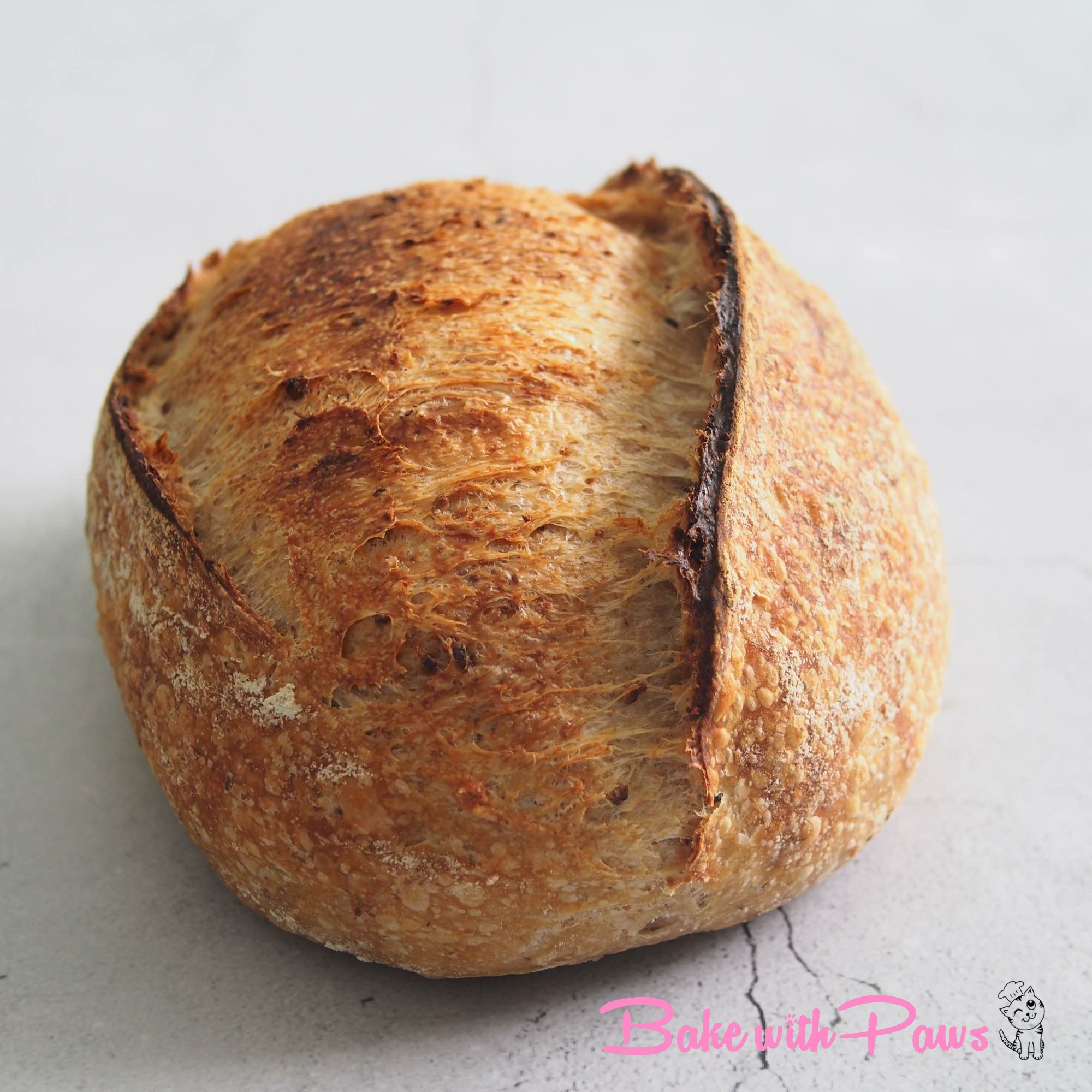 Butter Toasted Oat Porridge Sourdough Bread BAKE WITH PAWS