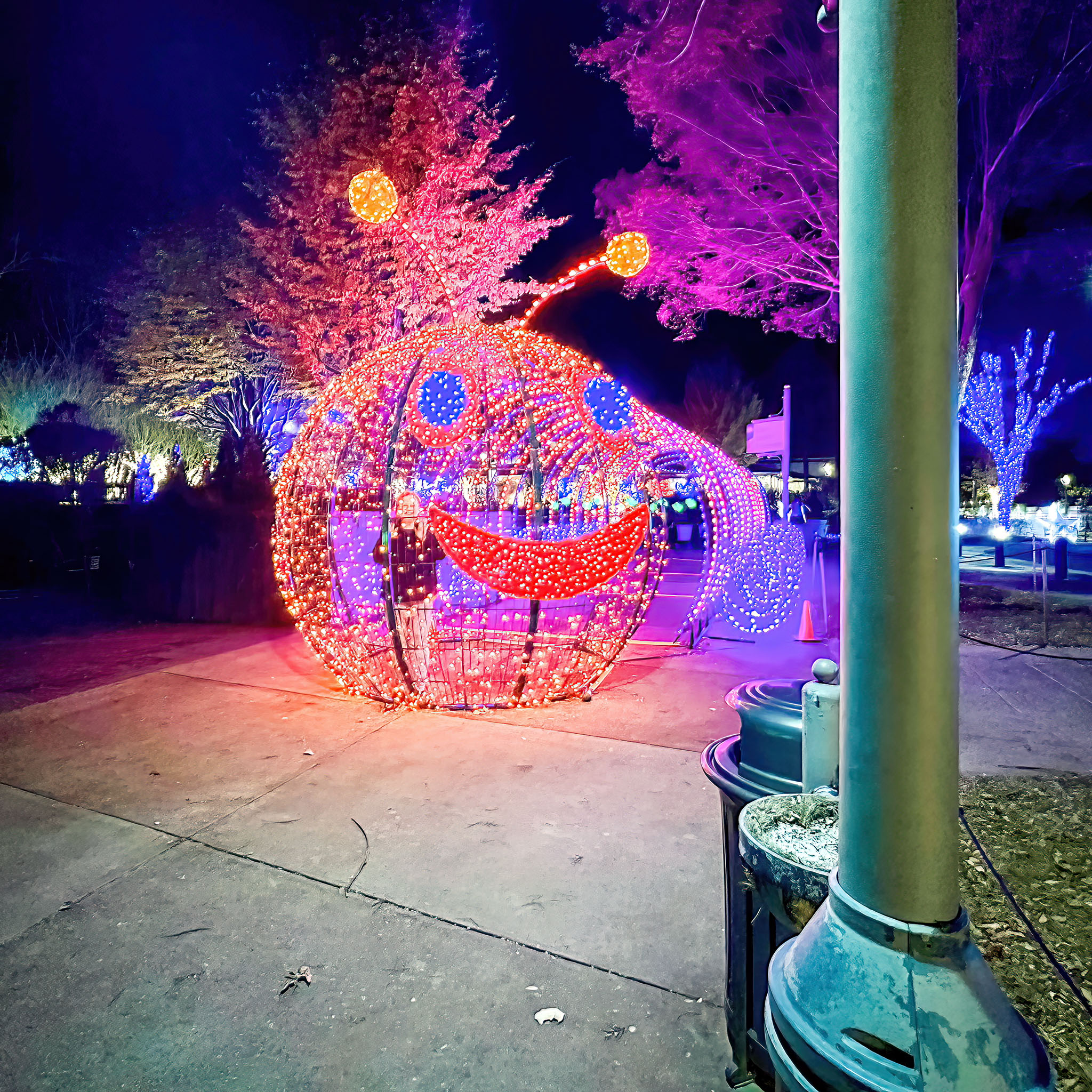 Bubba's Garage Photos from the NC Arboretum Winter Lights