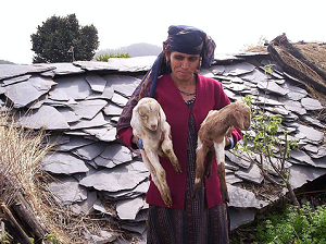 Ten family members of Udkhanda village in Uttarakhand re-inhabited their deserted village.