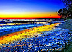 Nature Wallpapers Full Hd Wallpapers 1920X1080 Free Download : 750 x 1334 jpeg 183 кб.