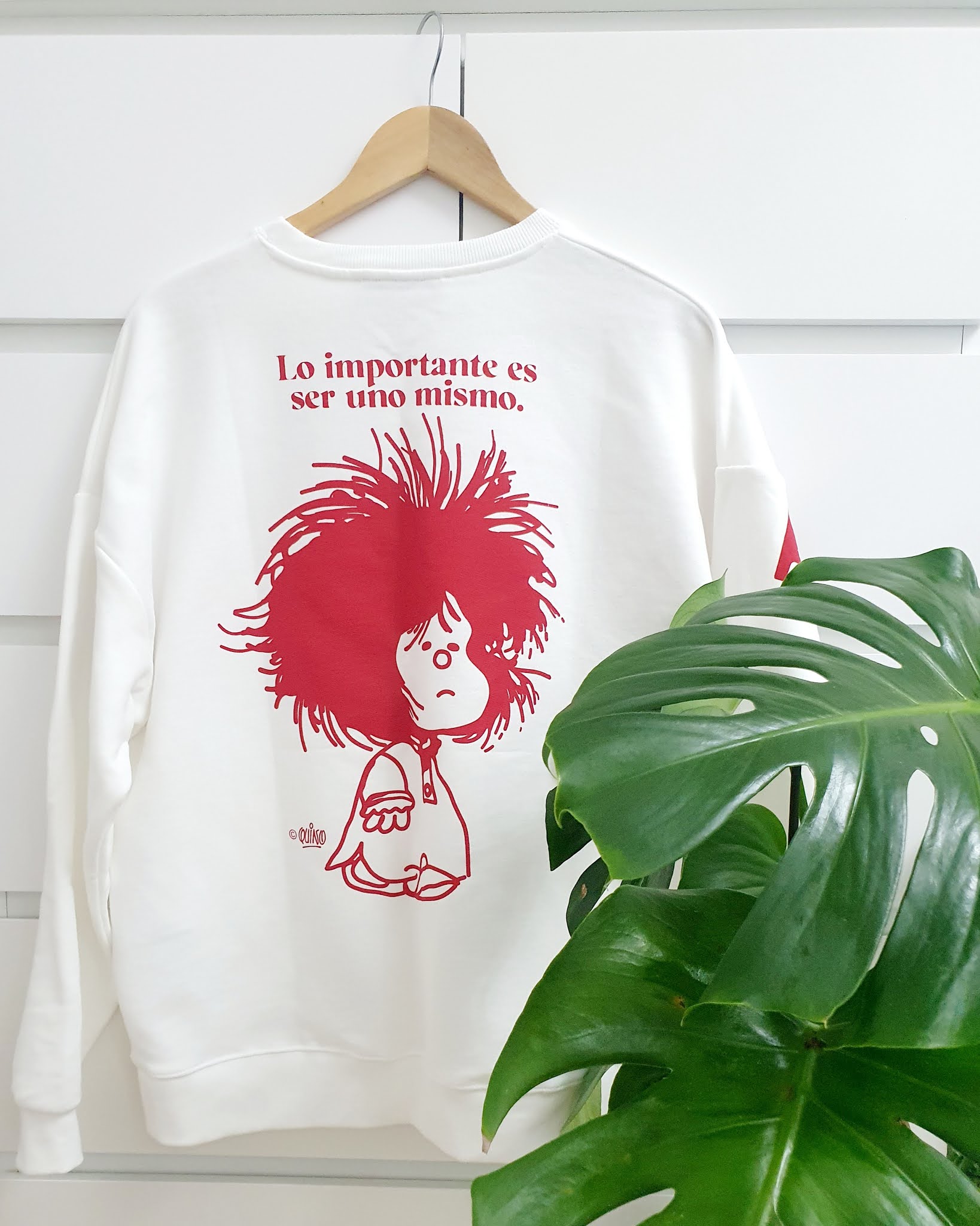 Birju Mahavir Amazon Bitter Apple Brijbooti Bel Giri Powder