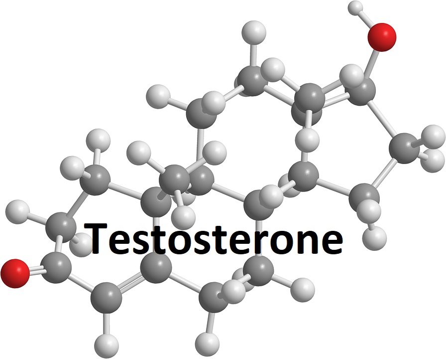 Testotek Testosterone Booster