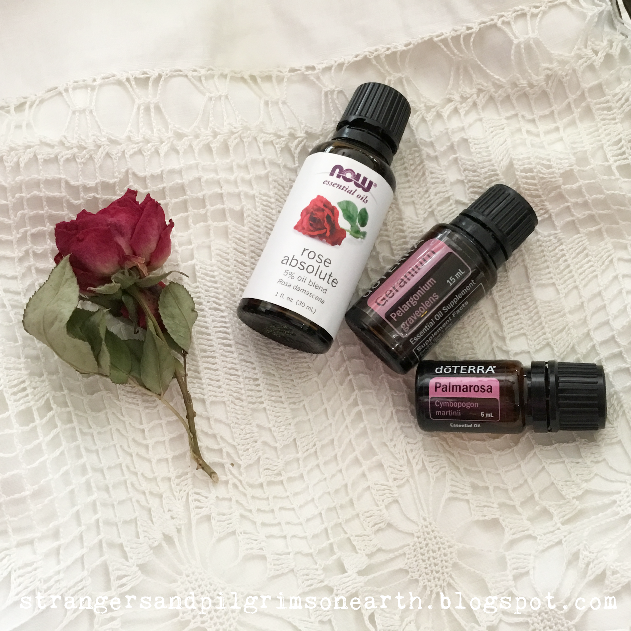 10 Rose Absolute Essential Oil Recipes - DIY Aromatherapy Blends