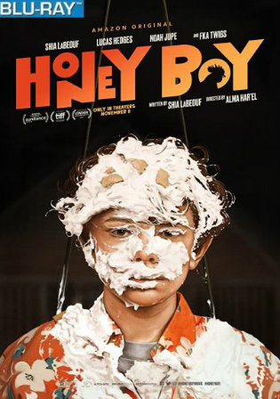 Honey Boy 2019 BRRip 950MB Hindi Dual Audio 720p