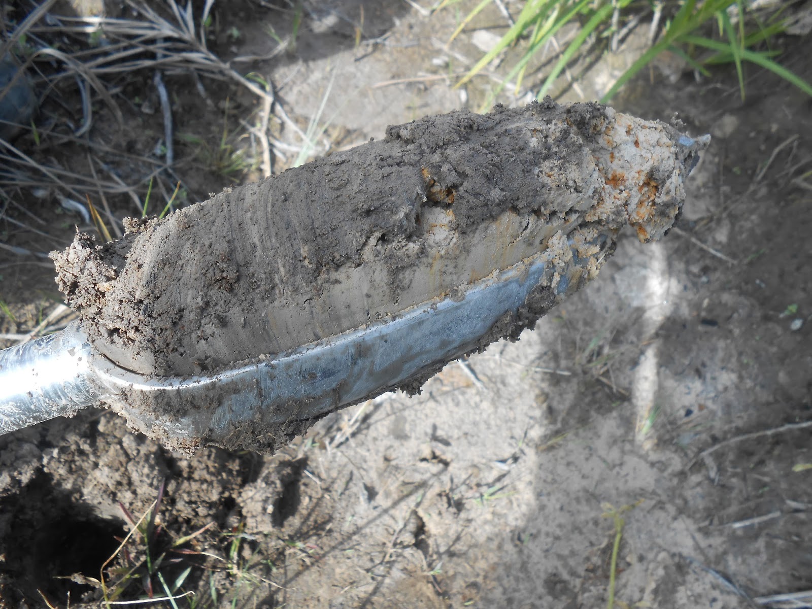 Membangun Perkebunan Kelapa Sawit Cara Melaksanakan Soil Sampel