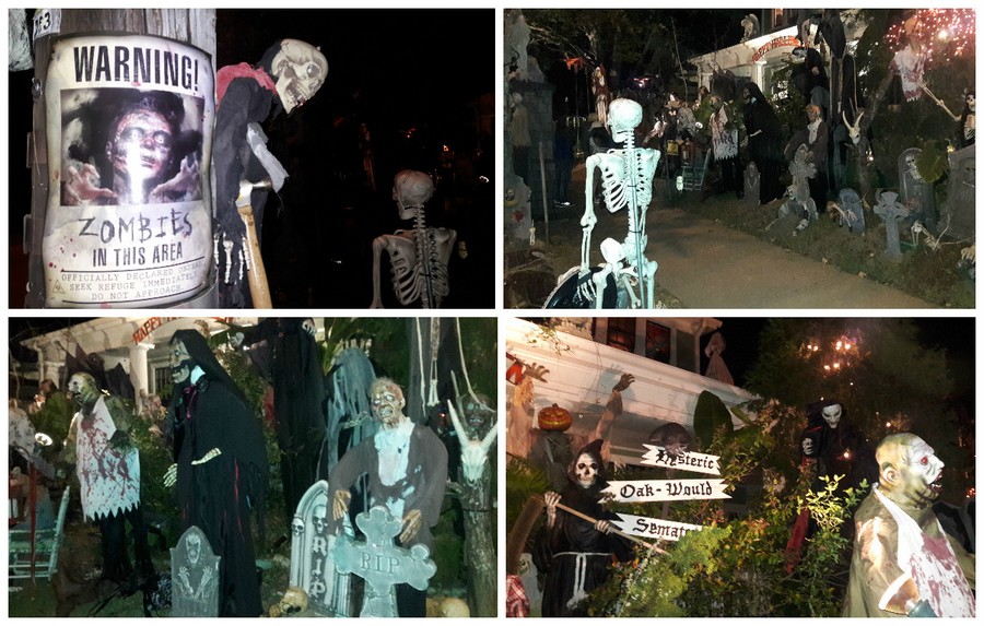 HALLOWEEN HALLOWEEN
