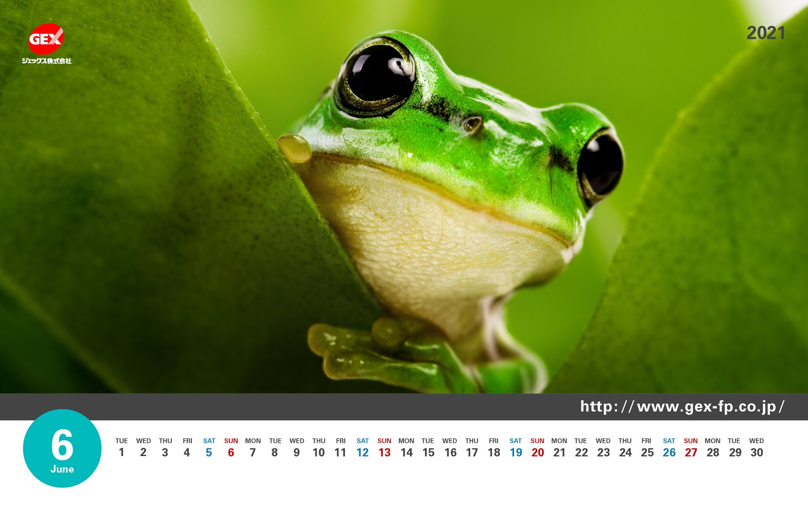 よく寝る動物たち -